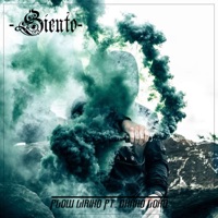 Siento (feat. Ckako Loko) - Single - Flow Liriko