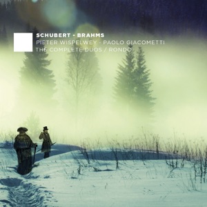 Schubert & Brahms: Duos