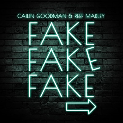 Fake - Single