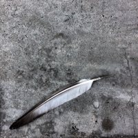 Frost Clear Energy Saver - EP - Manuel Rocha Iturbide