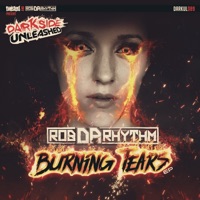 Burning Tears - Single - Rob Da Rhythm