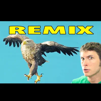 I'm a Bird Motha' f***** Remix - Single - Toby Turner