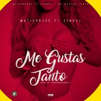 Me Gustas Tanto (feat. Zindel) - Single - Matierrese