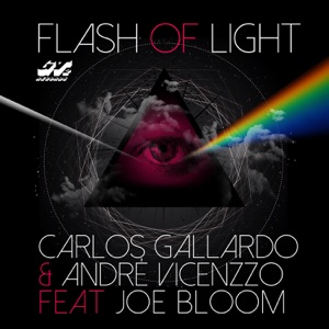 Flash of Light (feat. Joe Bloom) - Single