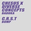 Baduka / Bump - Single