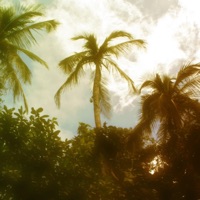 Lush Ish - Single - Mosch