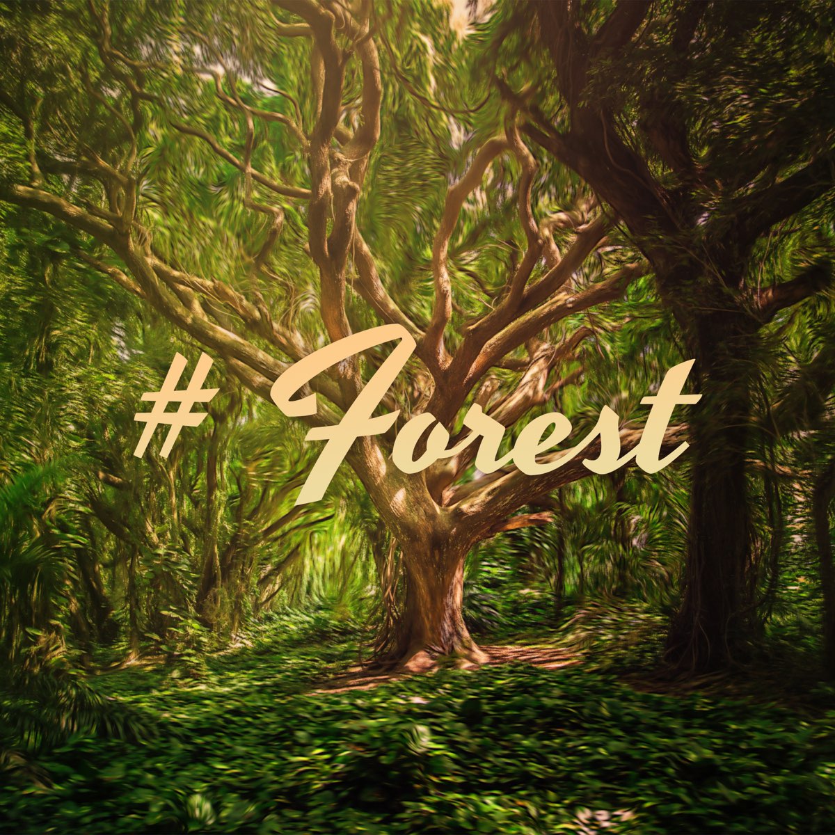 Be close to nature. Sounds of the Forest. Feat природа. Zen Forest. Close to nature.