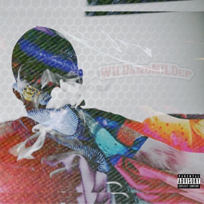 Wild & Mild - EP