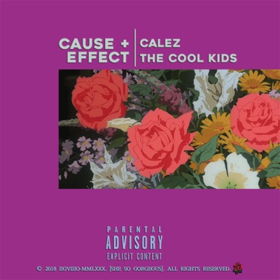 Cause + Effect - Single