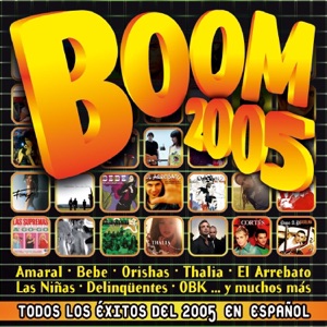 Boom 2005