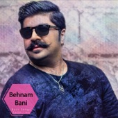 Behnam Bani Best Songs Collection artwork