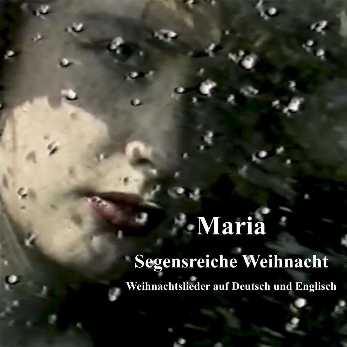 ‎Segensreiche Weihnacht Weihnachtslieder auf Deutsch und Englisch