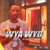 Wya Wyd (feat. Hogg) - Single