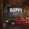 Rarri (feat. Jose Guapo) - Single