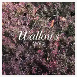 These Days - Single - Wallows
