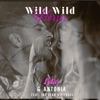 Wild Wild Horses (feat. Jay Sean & Pitbull) [Remixes]