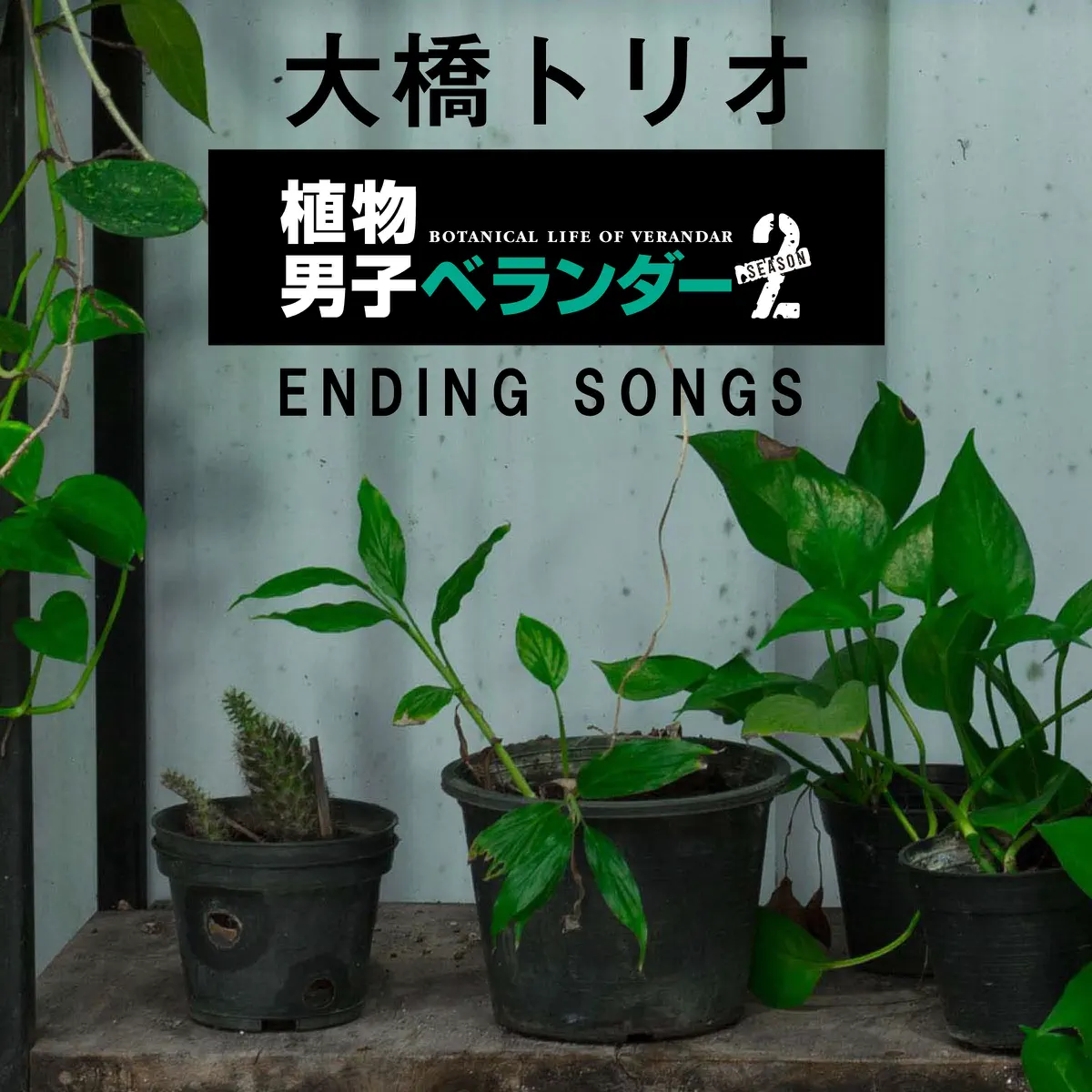 大桥トリオ - 植物男子ベランダーSEASON2 ENDING SONGS (2018) [iTunes Plus AAC M4A]-新房子