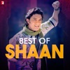 Best of Shaan, 2017