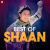 Best of Shaan - Shaan