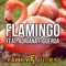 Flamingo (feat. Adriana Figueroa) - FamilyJules lyrics