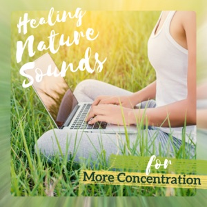 Healing Nature Sounds for More Concentration - Music for Better Work and Study, New Creative Ideas, Job Success