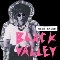 Black Valley - EP - Miss Eaves