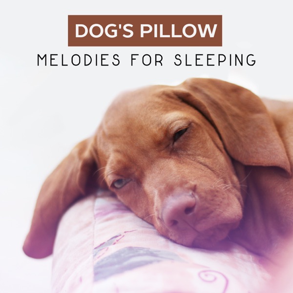 Dog's Pillow: Melodies for Sleeping - Soft Music & Nature Sounds, Animals Therapy, Gentle Lullabies for Your Pets, Peaceful & Calm