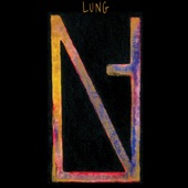 Lung - Spiders