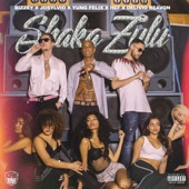 Shaka Zulu (feat. Hef & Delivio Reavon) artwork