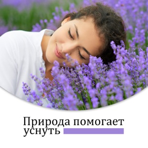 Природа помогает уснуть: Натуральное средство на сон, Звуки сна для детей и взрослых, Звуки природы, Шум воды, Птицы, Успокаивающая атмосфера, Эффективное лечение бессонницы и тревожности