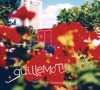 Guillemots