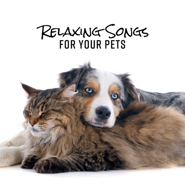 Relaxing Songs for Your Pets: Calm Music for Dogs & Cats, Anxiety and Stress Relief, Pet Therapy, Sleep Sounds