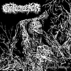 Sweltering Madness - Single