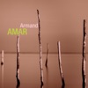 Armand Amar