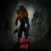 Dark Wolf - They Call It Dubstep