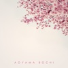 Aoyama Bochi - Single