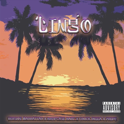 Lingo (feat. Briefcase Barz, Chuck Digga & Propz) - Single