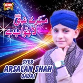 Mere Nabi Lajawab Hain artwork