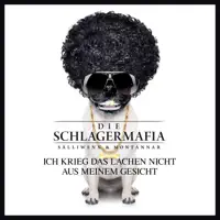 Ich Krieg Das Lachen Nicht Aus Meinem Gesicht (Original Polkamix)