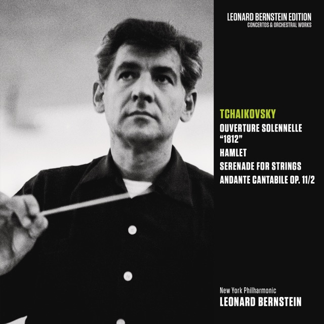 String Quartet No. 1 in D Major, Op. 11, TH 111: II. Andante cantabile (Version for String Orchestra)
