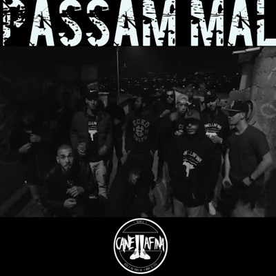 Passam Mal - Single