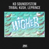 Higher (Reggae Mix) - Single