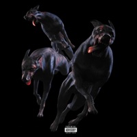 B.O.D. - Single - DNI