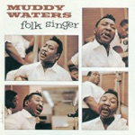 Muddy Waters - You Can't Lose What You Ain't Never Had