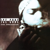 Ice Cube feat. Das Efx - Check Yo Self (The Message Remix)