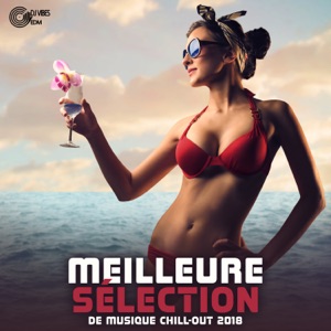 Meilleure sélection de musique chill-out 2018: Top 100, Sexy Lounge, Fête à la plage à Ibiza, Chillstep, Relaxation, Écoute facile
