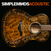 Simple Minds - Acoustic artwork