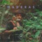 Maderas - Saint Mesa lyrics