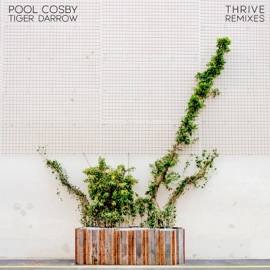 Thrive (Birocratic Remix) [feat. Tiger Darrow] Pool Cosby