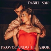 Provocando el Amor artwork